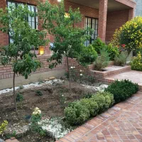 استخدام مشاوراملاک خانم و آقا