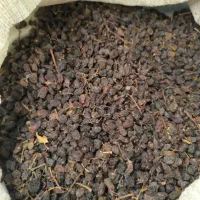 کشمش درگز کشمش آفتابی کشمش گله کشمش پلویی تیزابی|خوردنی و آشامیدنی|مشهد, الهیه|دیوار