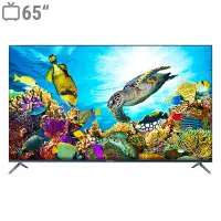 تلویزیون آیوا مدل PM8U65UHD
