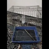 قفس بزرگ