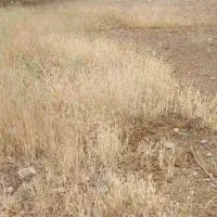فروش یک قطعه زمین درفخرآباد