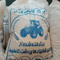 برنج عنبربو.لنجان.کامفیروز.خورده شمال.کالابرگ|خوردنی و آشامیدنی|فولادشهر, B1|دیوار