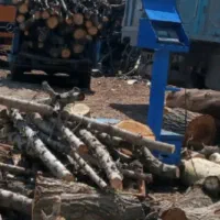 برش وهرس درخت