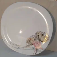 فروش ظروف آرکوپال|ظروف سرو و پذیرایی|بروجرد, |دیوار