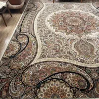 یک تخته فرش ۱۲ متری ۷۰۰ شانه طرح پارادایس