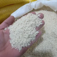 برنج فروشی گیلان|عمده‌فروشی|حویق, |دیوار