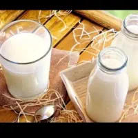 شیر تازه هر روز با چربی بالا