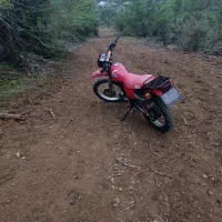 تریل طرح XL ایکسل