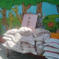 چاه ارت-میله راد- تست وتاییدیه ،همبندی -جوش کدولد|خدمات پیشه و مهارت|تهران, ایرانشهر|دیوار