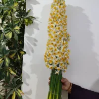 فروش عمده و خرده گل نرگس|گل و گیاه طبیعی|شیراز, شهرک سراج|دیوار