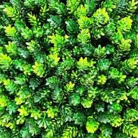 کفپوش تی وی وال گرین وال چمن مصنوعی|مصالح و تجهیزات ساختمان|فردیس, |دیوار