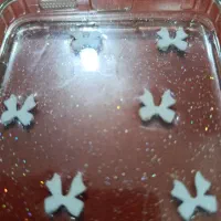 گارد گوشی شیائومی ردمی نوت ۱۴|لوازم جانبی موبایل و تبلت|ساری, |دیوار