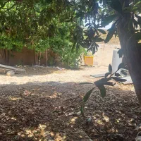 راهنمایی درمورد حیاط تجاری با دو اطاق