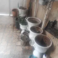 فروش گلدان بزرگ