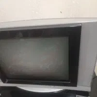 تلوزیون