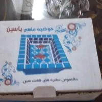حوضچه ماهی عید