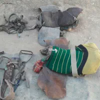 ۲عدد زین اسب در حد نو موجود است|اسب و تجهیزات اسبسواری|زنجان, |دیوار