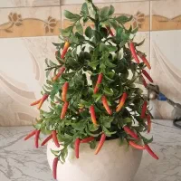 گل و گلدان فلفل مصنوعی