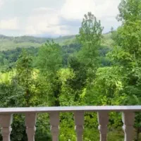 فروش ویلا بامحوطه ۲۵۰۰مترمربع. مدارک نسق|فروش خانه و ویلا|احمدسرگوراب, |دیوار