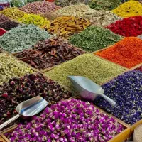 گلاب اعلا