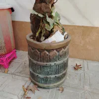 دکوری