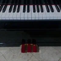 پیانو دیجیتال طرح آکوستیک P145