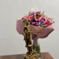 وکیل ( هلدینگ و تیم حقوقی عدل )