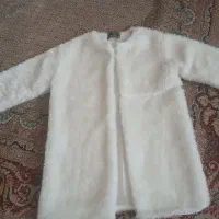 پالتو خز‌ استر دار