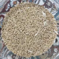 بذر گندم درجه یک و خیلی تمیز