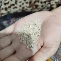 برنج کاظم هاشمی و طارم هاشمی و نیم دانه موجود است|عمدهفروشی|دره شهر, |دیوار