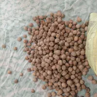 گردو ،، محصولات ارگانیک ،، دهبکری