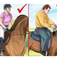آموزش  اسب سواری بدون هزینه