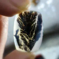 سنگ شجرگل مشکی