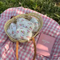 دستسازه‌‌های میجان