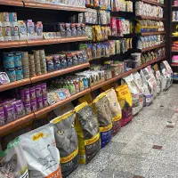 غذا خشک رویال کنین و پروپلن