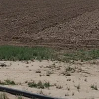 زمین آب استخر برای کشت زعفرون|اجارهٔ دفتر صنعتی، کشاورزی، تجاری|تربتحیدریه, ده پائین|دیوار