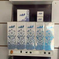 دزدگیر آنیک داهوا برایتون