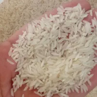 برنج فجر خوش پخت