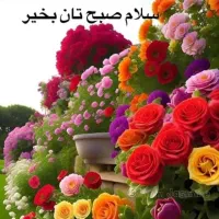 فروشنده خانم و اقا