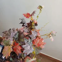 پشتی طرح گلیم وبقیه|پشتی|ابهر, |دیوار