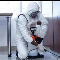 موریانه زدایی و سمپاشی سوسک کابینتی تضمینی|خدمات نظافت|دزفول, |دیوار