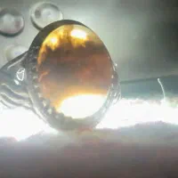 انگشتر شجر منظره