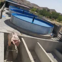 پخش بچه ماهی طوفان و آمور و کپور|ماهی|زابل, |دیوار