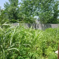 فروش 225متر زمین مسکونی عرفان