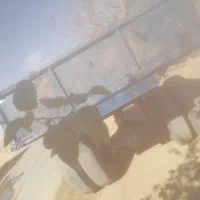 تریلی تراکتور جفت چرخ بزرگ 1020|ماشین‌آلات صنعتی|اشکذر, |دیوار