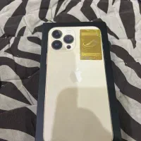 ۱۳ پرو مکس در حد