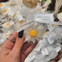 گیفت تولد،یلدا، عقد،حنابندان،دندونی