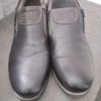 کفش مجلسی