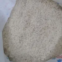 برنج فجر سوزنی