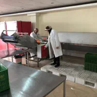 اجاره کارخانه تولید چیس میوه وسبزی و فرنچ فرایزر|اجارهٔ دفتر صنعتی، کشاورزی، تجاری|نوشهر, |دیوار